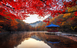 Small pavilion lake autumn leaves - top of a lake free wallpaper