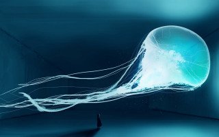 Jellyfish city night space earth - jellyfish free wallpaper