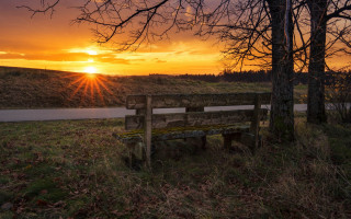 Bench grass tree water sunset - the sun setting free wallpaper