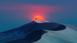 Mountain sunset birds ocean desert - top of a mountain free wallpaper