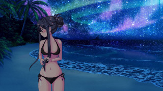 Woman beach starry sky palm - a beach next free wallpaper for desktop