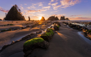 Beach rocks moss sunset formation - green moss free wallpaper