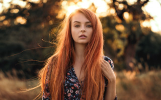 Red haired woman field bokeh 3 - a field of grass and trees free wallpaper