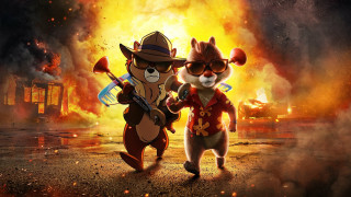 Fire sky animals campfire night - a couple of animals free wallpaper