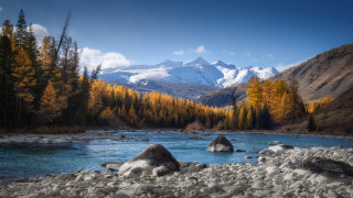 River forest rocks mountains lake - arkhip kuindzhi free wallpaper