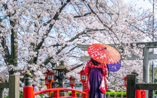 Woman kimono umbrella cherryblossoms bridge - an umbrella in front free wallpaper