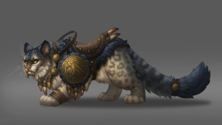 Cat shield helmet fullbody gray - concept design art free wallpaper for desktop