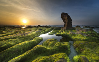 Mossy rock sunset cloudy horizon - green moss free wallpaper