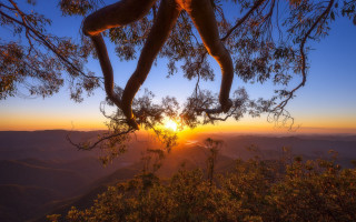 Sunset mountains valleys branch autumn - a tree branch in the foreground free wallpaper
