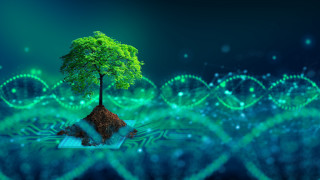 Tree island glowing biology fantasy - a small island in the middle free wallpaper