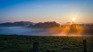 Sunrise foggy field trees lake - the fog free wallpaper