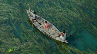 Seaweed people boat fish nature - bikash bhattacharjee free wallpaper