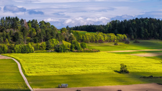 Field dirt road bench trees - free summer wallpaper for desktop