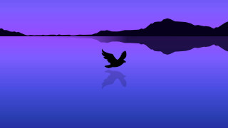 Bird lake mountains night purple - eric taylor free wallpaper for desktop