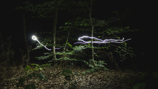Light painting tree light trail - dynamic free wallpaper for desktop