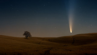 Comet tree night magic milkyway - free airplane wallpaper