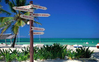 Beach signpost palm tree directions - kitsch movement free wallpaper