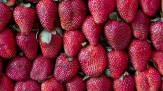 Large pile strawberries market stall - sale free wallpaper