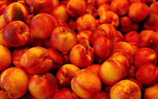 Red apples pile summer vibrant - a pile together free wallpaper