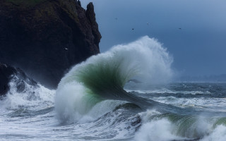 Large wave cliff birds ocean - the ocean shore free wallpaper