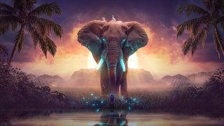 Elephant water bird sunset fantasy - a large elephant free wallpaper