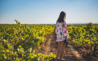Woman field sky vines flower - dirt free wallpaper