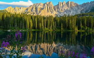 Mountain lake reflection flowers trees - carlo carlone free wallpaper