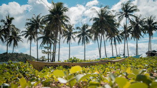 Boat field trees sky clouds - bascove free wallpaper for desktop