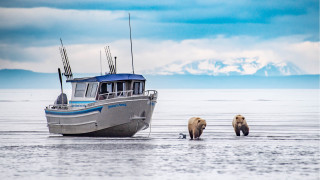 Boat bears mountain cloudy sky - two bear free wallpaper