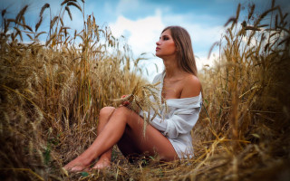Woman wheat field sky sitting - a field of wheat free wallpaper for desktop