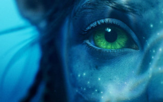 Holographic bioluminescent planetary starry night - a green eye free wallpaper