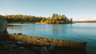 Yellow canoe rock lake forest - evaline ness free wallpaper