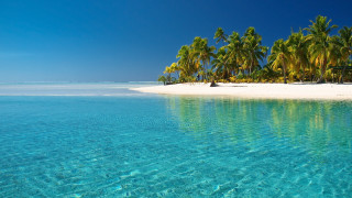 Beach palm trees clear water 15 - clear water free wallpaper