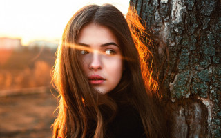 Woman longhair tree sun blowing - the sun free wallpaper for desktop