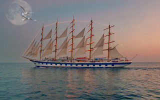 Sailboat fullmoon seagull ocean night - affinity photo free wallpaper for desktop