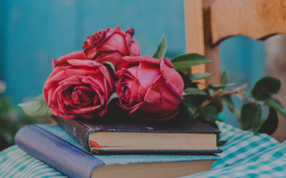 Books roses stilllife blurry chair - a wooden chair free wallpaper