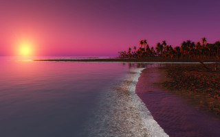 Beach sunset palm trees water 5 - the background and a body of water free wallpaper