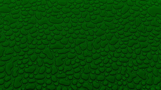 Green water droplets fence leaf - water droplet free wallpaper