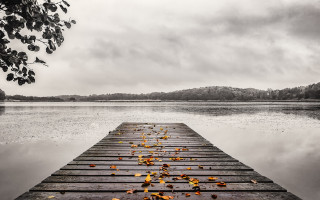 Wooden dock leaves water cloudy - a wooden dock free wallpaper