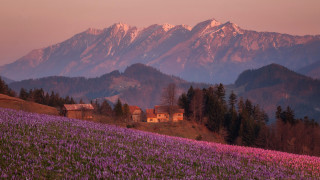 House field flowers mountains sunset - ferenc joachim free wallpaper for desktop