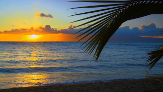 Sunset ocean palm tree boat - a sunset over the ocean free wallpaper
