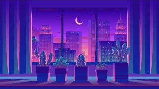 City night cactus window aurora - surreal design free wallpaper for desktop