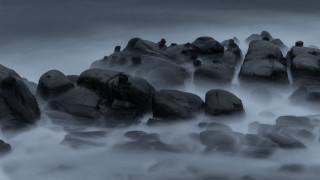 Black white rocks bird fog - volumetric fog free wallpaper for desktop