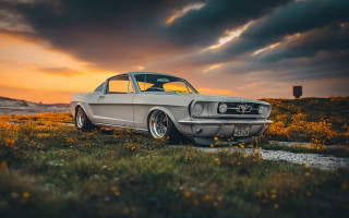 Car flower field sunset cloudy - a cloudy sky in the background free wallpaper for desktop