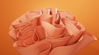 Pink flowers 3d gradient background - a yellow background behind free wallpaper for desktop