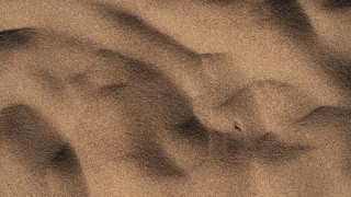 Sand dune bird land art - the bottom of it free wallpaper