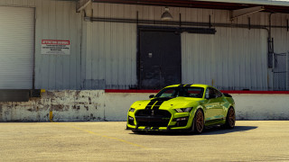 Yellow car red stripe cobra - a yellow car free wallpaper