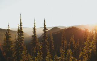 Forest mountains sunbeam trees naturalism - the background and a sunbeam in the foreground free wallpaper