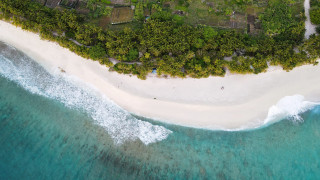 Aerial beach forest tilt shift - a white sand beach free wallpaper for desktop