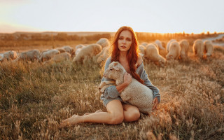 Woman sitting field sunset sheep - leesha hannigan free wallpaper